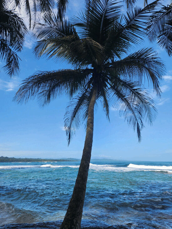 Pasted image 20251222143545_d65b04CB.jpg